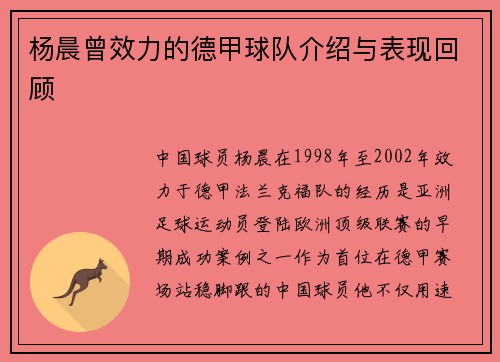 杨晨曾效力的德甲球队介绍与表现回顾